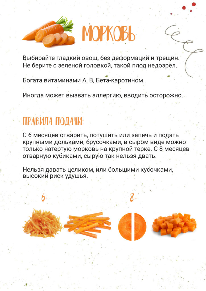 безопасная подача моркови для прикорма